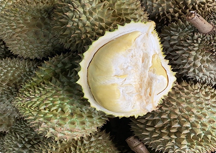 ĐẶC ĐIỂM