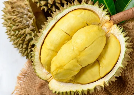 NGUỒN GỐC
