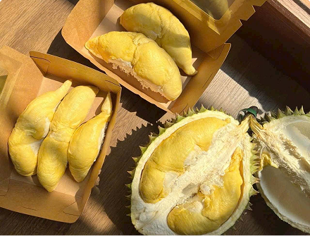 Sầu riêng Ri 6